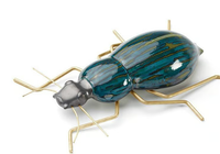 beetle-deep-blue-mambo-unlimited-ideas-317227-rel5879bb2a.jpg thumb image